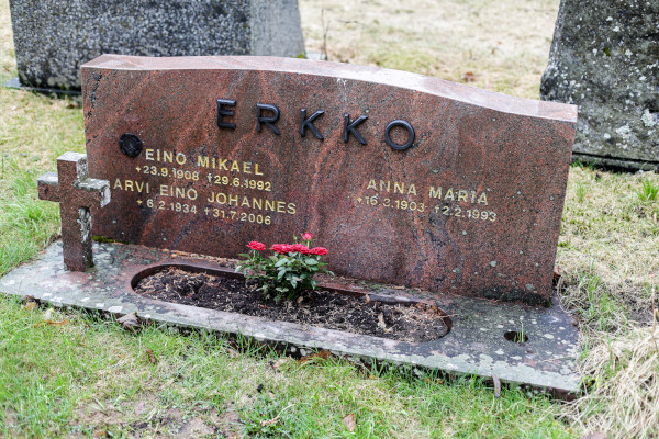 Erkko Eino*