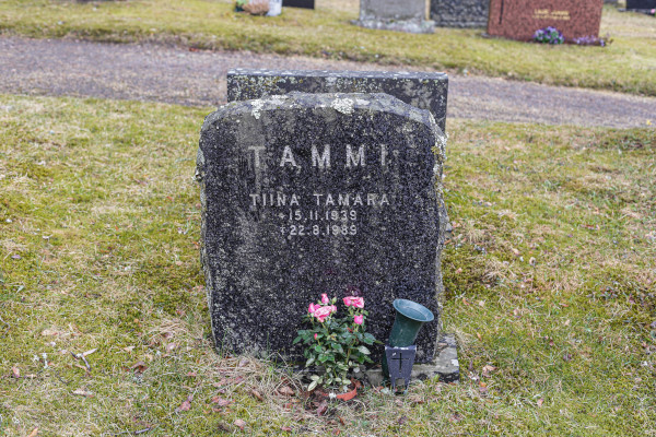 Tammi Tiina